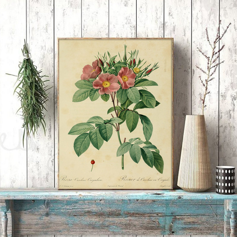 Ancient-Botanical-Poster-Vintage-Rose-Flower-Wall-Pictures-Classic-Floral-Lily-Plants-Wall-Art-Canvas-Painting-1.jpg