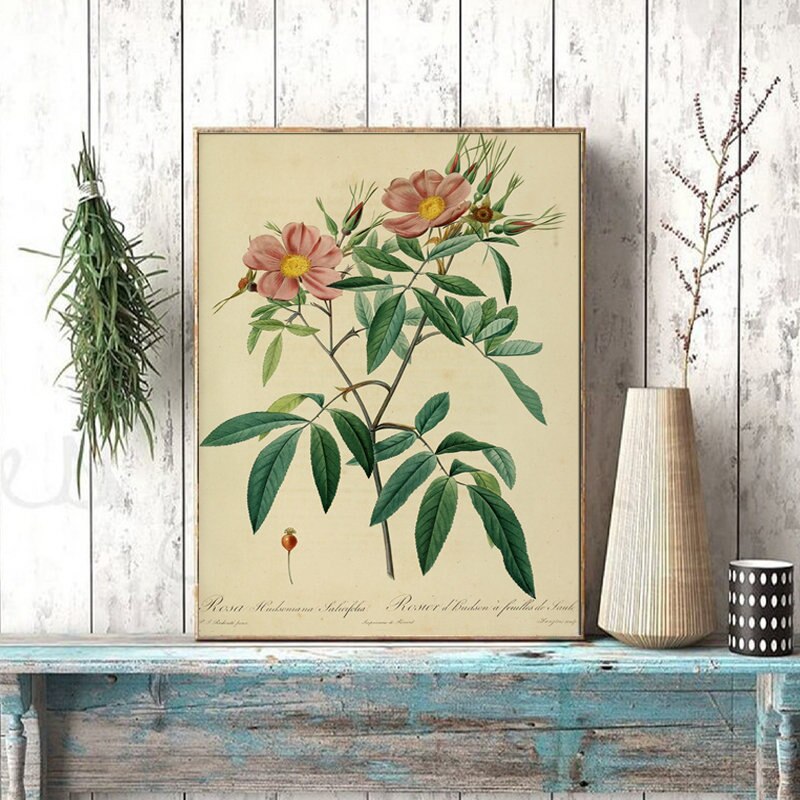 Ancient-Botanical-Poster-Vintage-Rose-Flower-Wall-Pictures-Classic-Floral-Lily-Plants-Wall-Art-Canvas-Painting.jpg