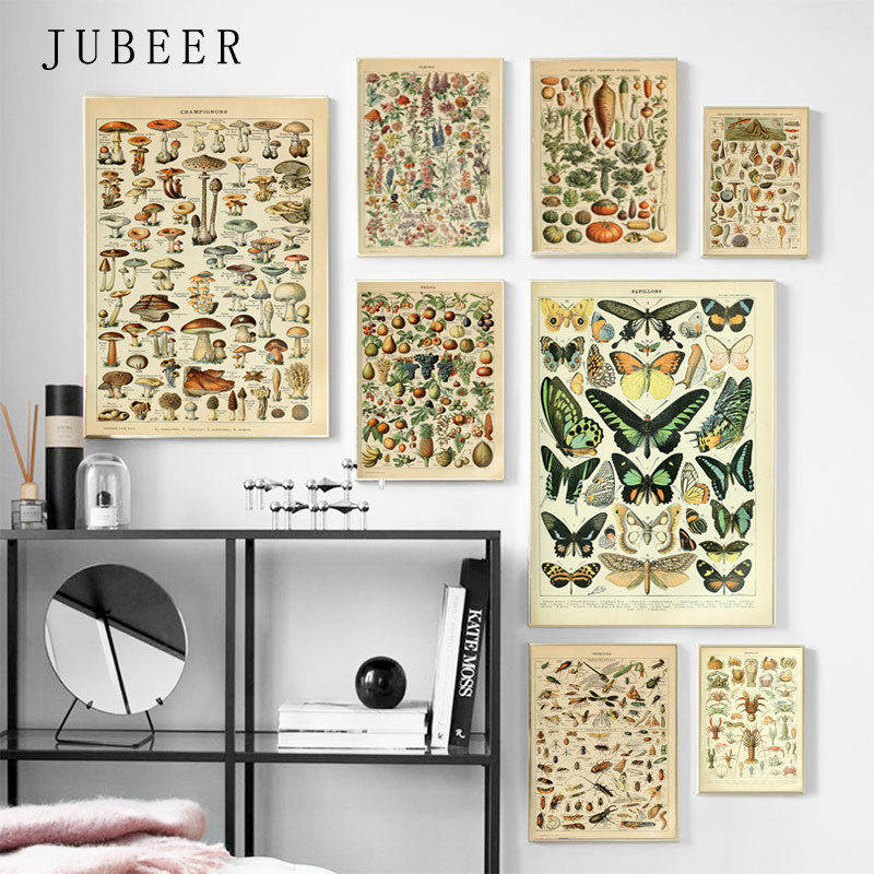 Animal-Botanical-Educational-Vintage-Poster-Butterfly-Posters-and-Prints-Fruit-Canvas-Painting-Vegetable-Picture-on-The-1.jpg