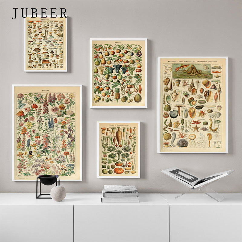 Animal-Botanical-Educational-Vintage-Poster-Butterfly-Posters-and-Prints-Fruit-Canvas-Painting-Vegetable-Picture-on-The-2.jpg