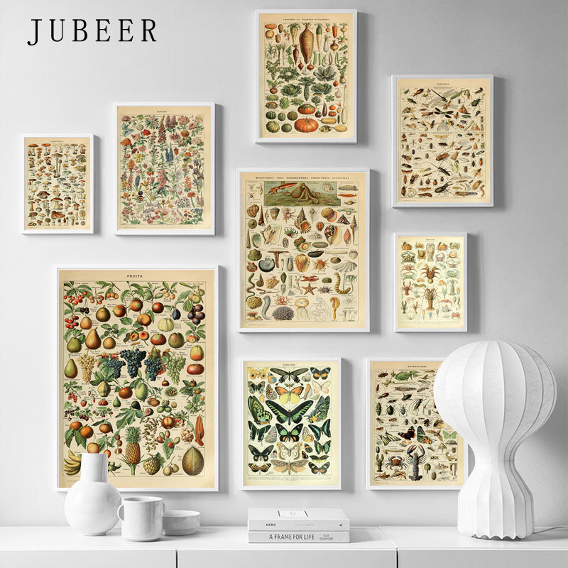 Animal-Botanical-Educational-Vintage-Poster-Butterfly-Posters-and-Prints-Fruit-Canvas-Painting-Vegetable-Picture-on-The-3.jpg