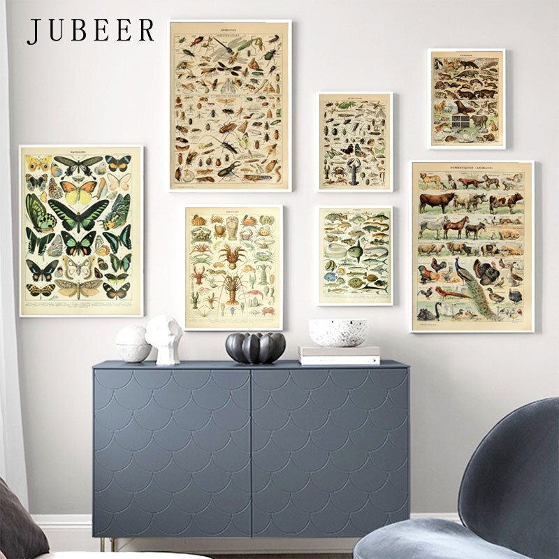 Animal-Botanical-Educational-Vintage-Poster-Butterfly-Posters-and-Prints-Fruit-Canvas-Painting-Vegetable-Picture-on-The-4.jpg