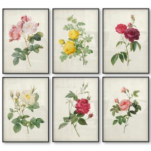 Botanical Rose Flower Vintage Poster Canvas Print Red Pink Yellow White Rose Floral Antique Wall Art Canvas Painting Home Decor