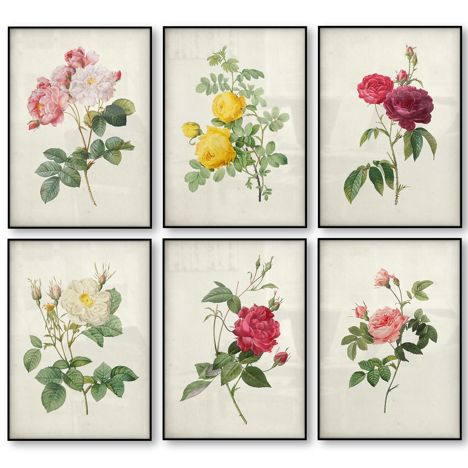 Vintage Art Digital Prints Vintage Roses Illustrations Printable Vintage Pink Roses Set of 3 set-4 Printable Wall Art