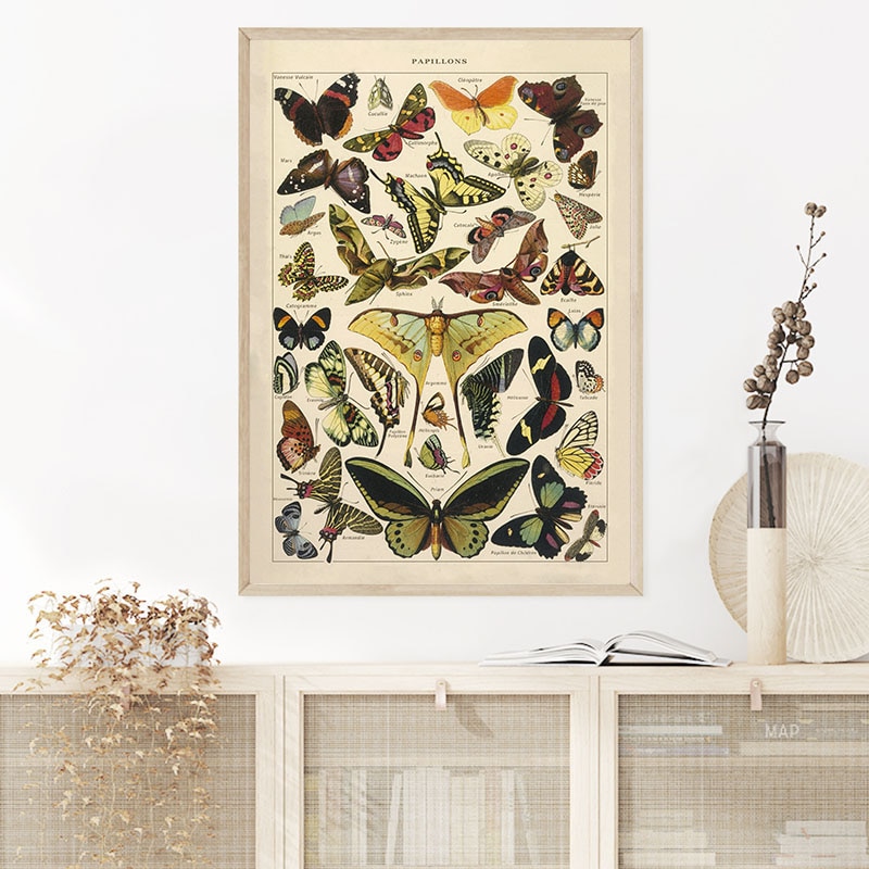 Butterfly-Insect-Vintage-Poster-Papillons-Print-Canvas-Painting-Biology-Education-Wall-Art-Picture-Modern-Study-Room-1.jpg