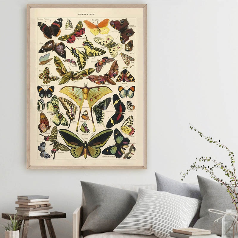 Butterfly-Insect-Vintage-Poster-Papillons-Print-Canvas-Painting-Biology-Education-Wall-Art-Picture-Modern-Study-Room-2.jpg