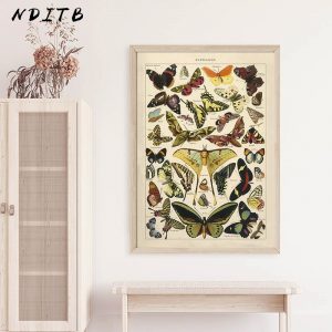 Butterfly Insect Vintage Poster Papillons Print Canvas Painting Biology Education Wall Art Picture Modern Study Room Decoration