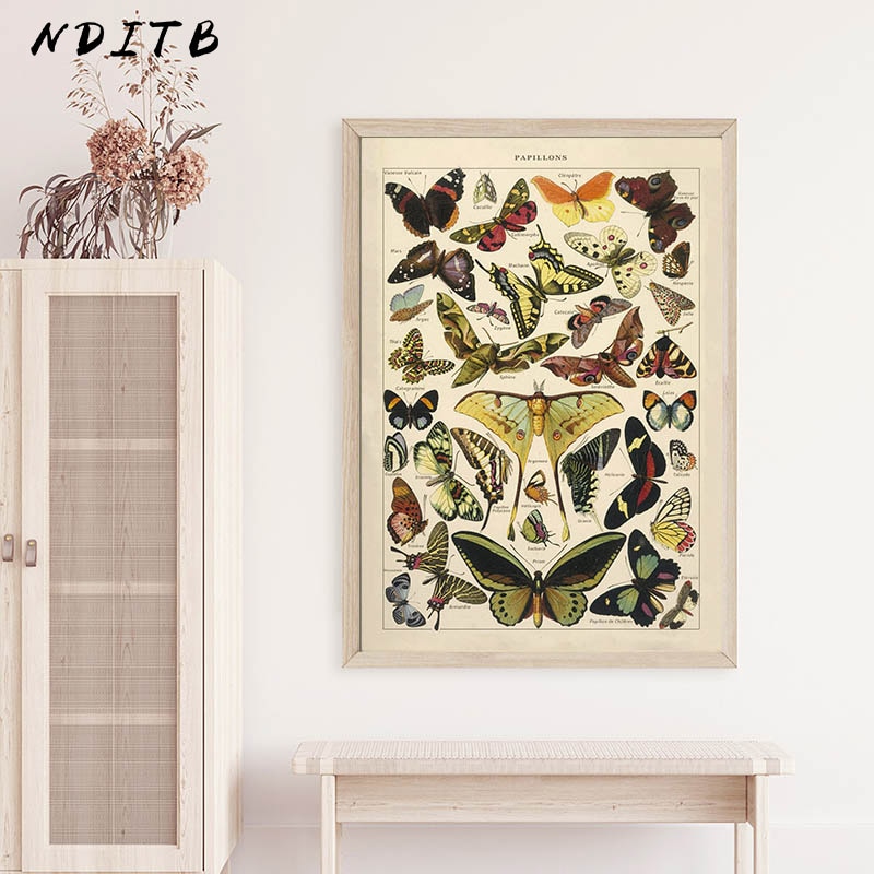 Butterfly-Insect-Vintage-Poster-Papillons-Print-Canvas-Painting-Biology-Education-Wall-Art-Picture-Modern-Study-Room.jpg