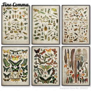 Buttferflies Vintage Poster Bees Insects Birds Plumes Feathers Eggs Wall Art Posters and Prints Canvas Painting Adolphe Millot