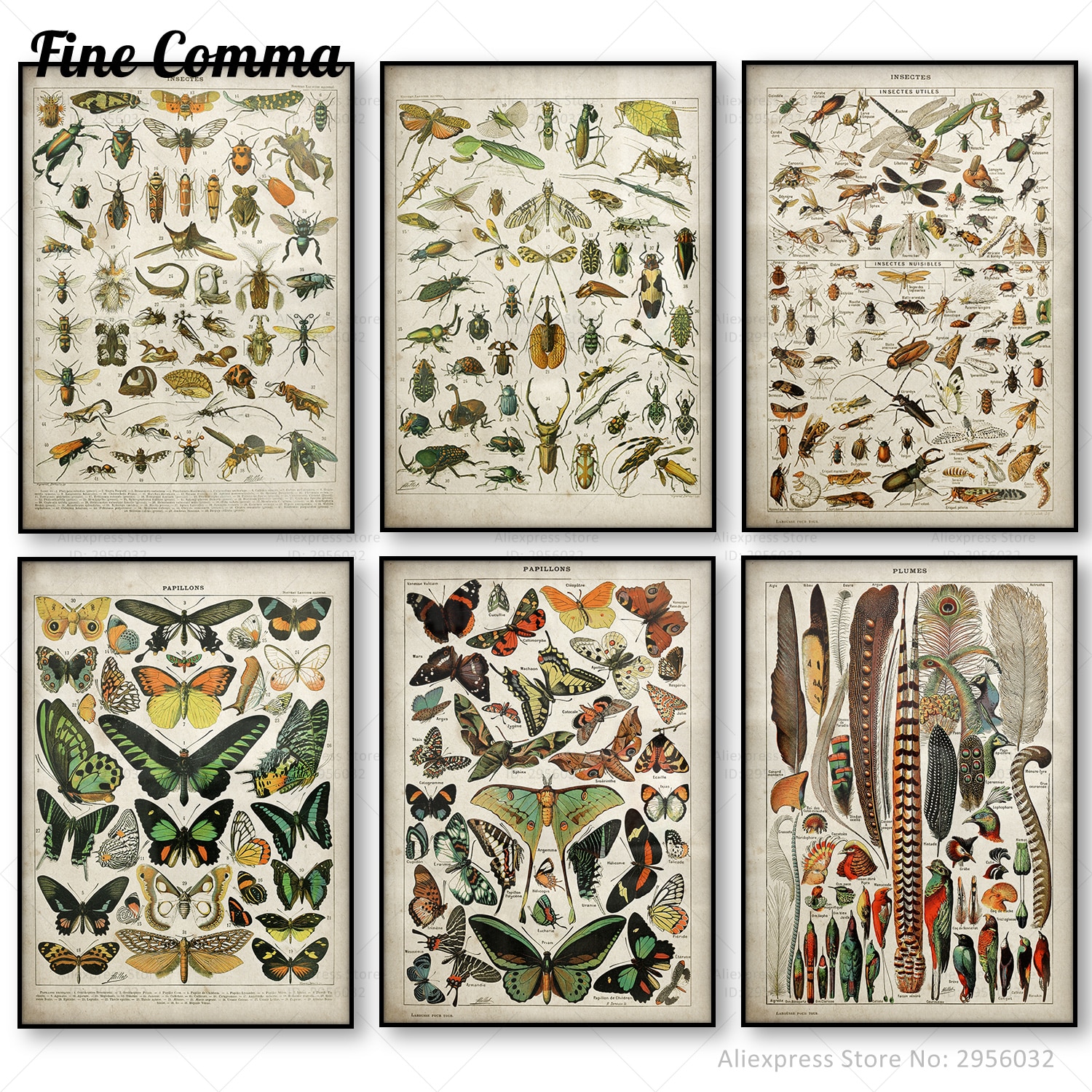 Buttferflies-Vintage-Poster-Bees-Insects-Birds-Plumes-Feathers-Eggs-Wall-Art-Posters-and-Prints-Canvas-Painting.jpg