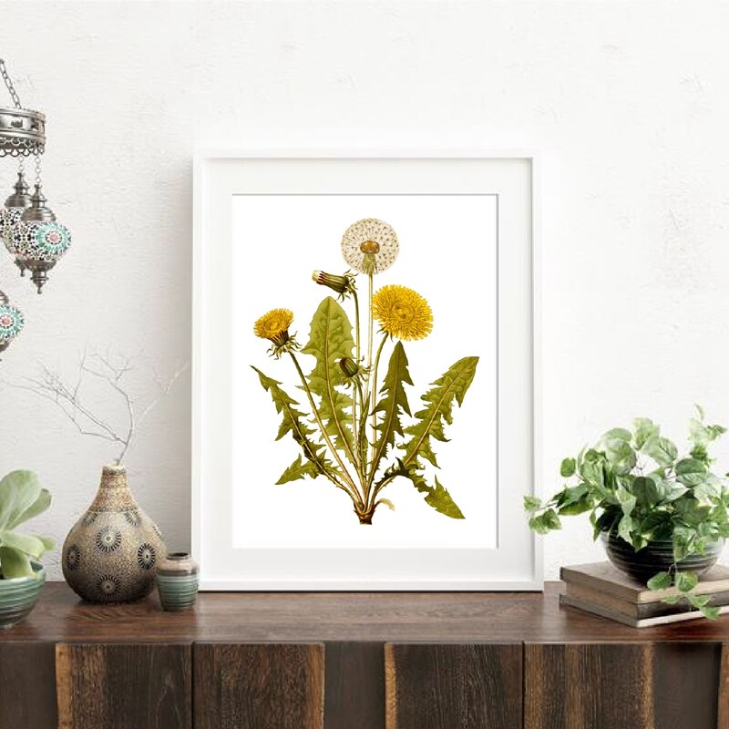 Common-Dandelion-Flower-Print-Vintage-Herb-Botanical-Poster-Wall-Art-Canvas-Painting-Floral-Plant-Picture-Living-2.jpg