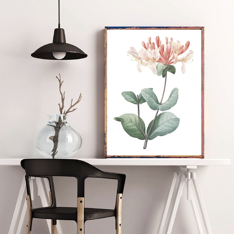 Flower-Print-Honeysuckle-Botanical-Floral-Poster-Italian-Honeysuckle-Hand-Drawing-Painting-Wall-Art-Canvas-Picture-Home-4.jpg