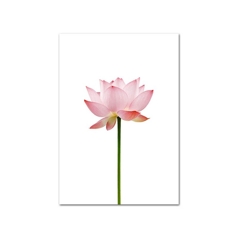 Pink-Pineapple-Rose-Lotus-Flower-Wall-Poster-Nordic-Botanical-Floral-Print-Scandinavian-Canvas-Painting-Contemporary-Art-5.jpg