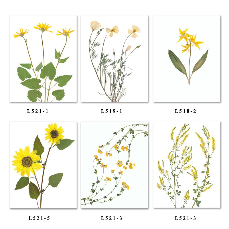 Scandinavian-Flower-Canvas-Art-Poster-Yellow-Floral-Print-Painting-Nordic-Sunflower-Wall-Picture-Modern-Living-Room-4.jpg