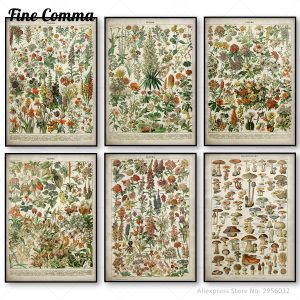 Vintage Flower Poster Antique Floral Canvas Print Art Botanical Educational Poster Mushroom Wall Art Home Decor Canvas Painting