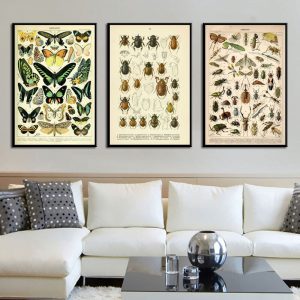 Vintage style canvas painting poster insect specimen painting high quality canvas painting home decoration frameless o416
