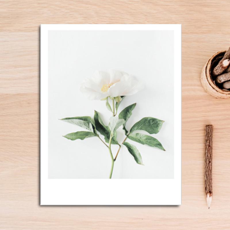modern-The-text-love-is-you-Nordic-plant-bougainvillea-canvas-painting-romantic-poster-print-wall-art-1.jpg