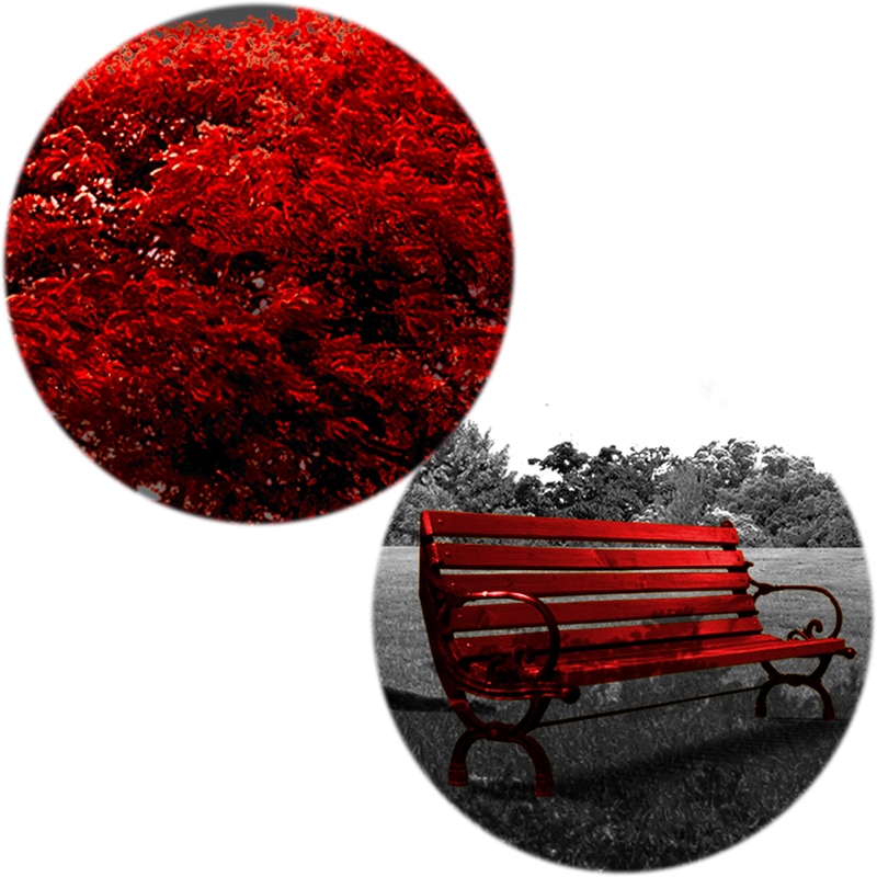 70x100cm-Modern-Red-Money-Tree-Wall-Art-Canvas-Posters-Prints-unframed-Wall-Pictures-For-Office-Living-4.jpg