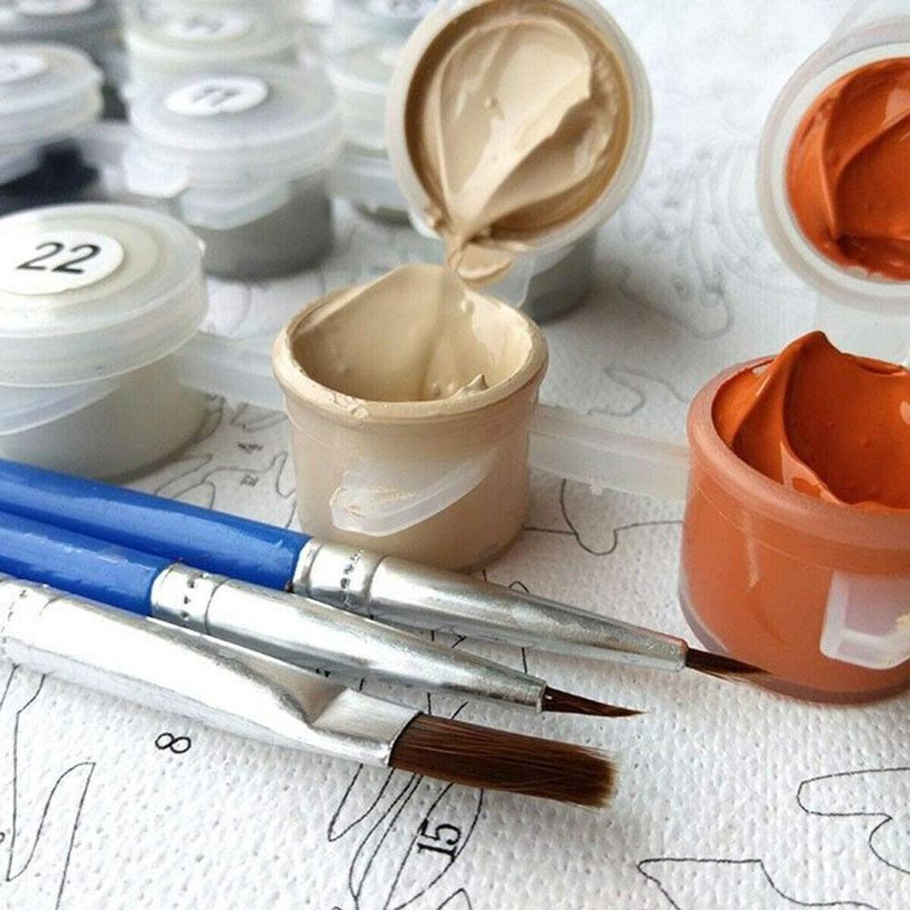 AMTMBS-Painting-By-Number-Balloon-Coloring-By-Numbers-Landscape-Acrylic-Oil-Painting-Hand-Painted-Kit-Canvas-2.jpg