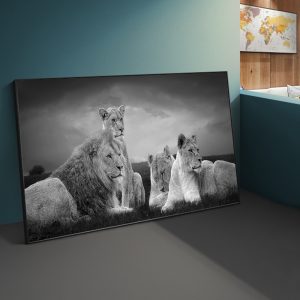 African Lions Family Black And White Canvas Art Posters And Prints Lions Animasl Canvas Paintings On the Wall Art Decor Pictures