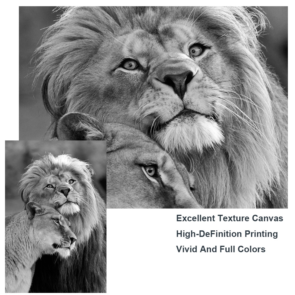 African-Wild-Lions-Lover-Canvas-Paintings-on-the-Wall-Art-Lions-Poster-And-Prints-Black-And-3.jpg