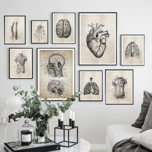 Anatomy Skeleton Patent Vintage Posters and Prints Medical Wall Art Print Canvas Painting Pictures for Living Room Home Decor