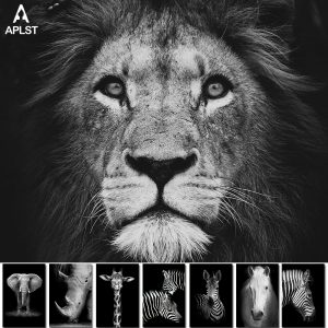 Animal Giraffe Zebra Lion Elephant Horse Prints & Poster Black and White Canvas Art Wall Decorative Picture for Living Room