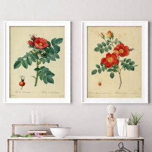 Antique Botanical Poster Vintage Rose Flower Wall Pictures Illustration Floral Plants Wall Art Canvas Painting Modern Room Decor