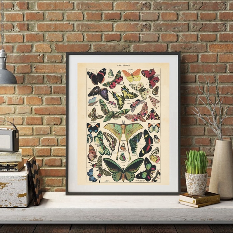 Antique-Butterfly-Vintage-Poster-Prints-Insect-Kind-Nature-Education-Wall-Art-Canvas-Painting-Picture-Kids-Room-7.jpg
