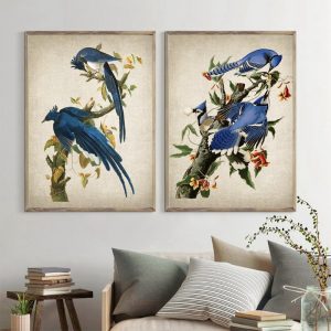Audubon Art Prints Columbia Jays Vintage Bird Illustration Poster Canvas Painting Blue Jays Pictures for Living Room Home Decor