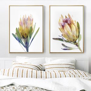 Australian Romantic Flowers Poster Yellow Flower Canvas Painting Wall Art Flora HD Posters and Prints Pictures for Lving Room