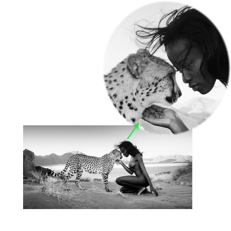 Black-White-Natural-Landscape-Canvas-Painting-on-The-Wall-Posters-and-Prints-Snow-Leopard-and-Nude-3.jpg