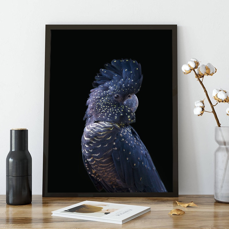 Black-and-White-Canvas-Poster-Animal-Cockatoo-Bird-Print-Wall-Art-Painting-Nordic-Decoration-Picture-Modern-2.jpg