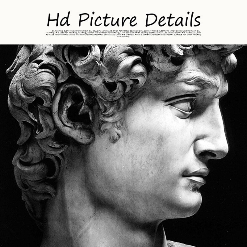 Black-and-White-David-Head-Sculpture-Canvas-Painting-Posters-and-Prints-Wall-Art-Pictures-Cuadros-for-4.jpg
