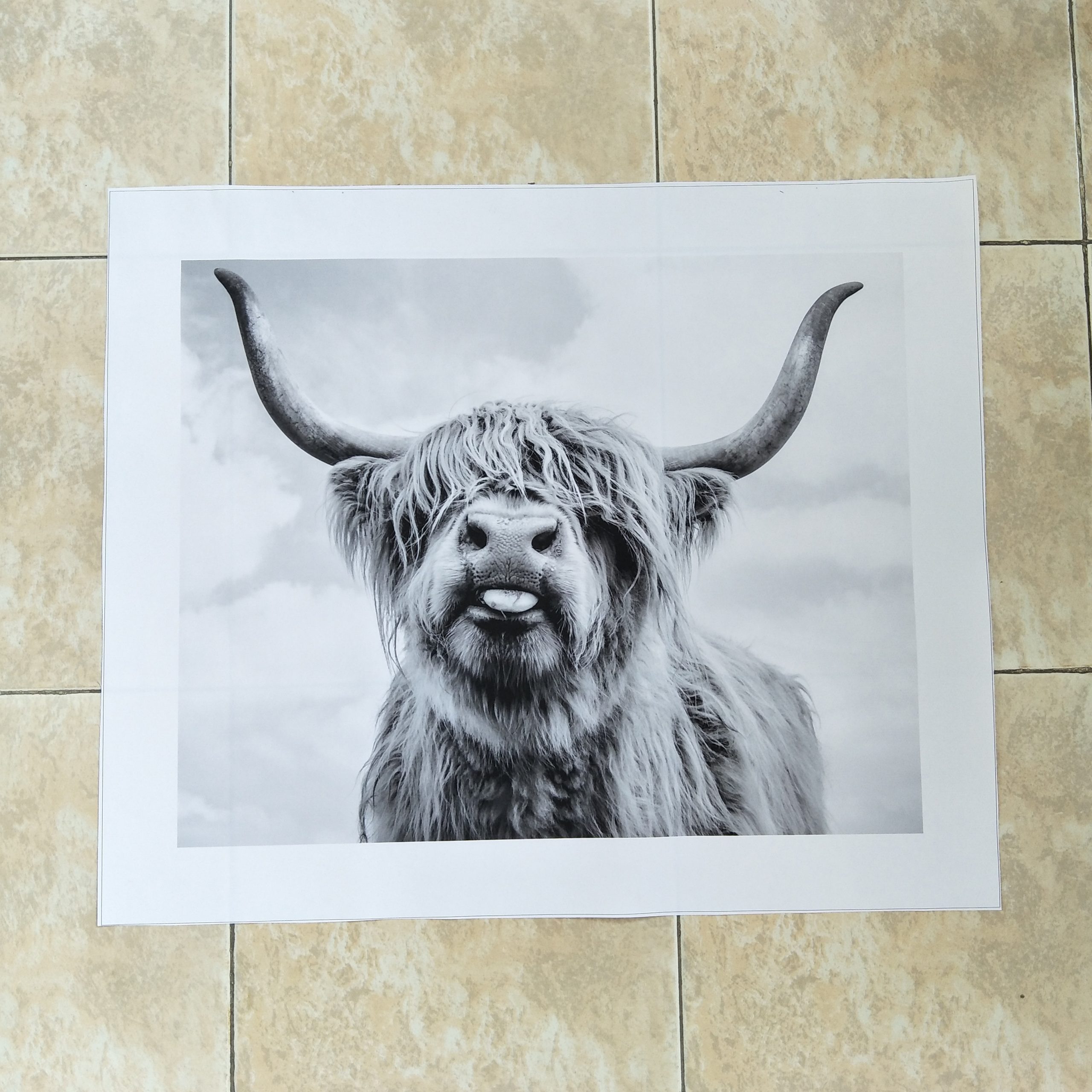 Black-and-White-Highland-Cow-Cattle-Wall-Canvas-Art-Nordic-Painting-Poster-and-Print-Scandinavian-Wall-5.jpg