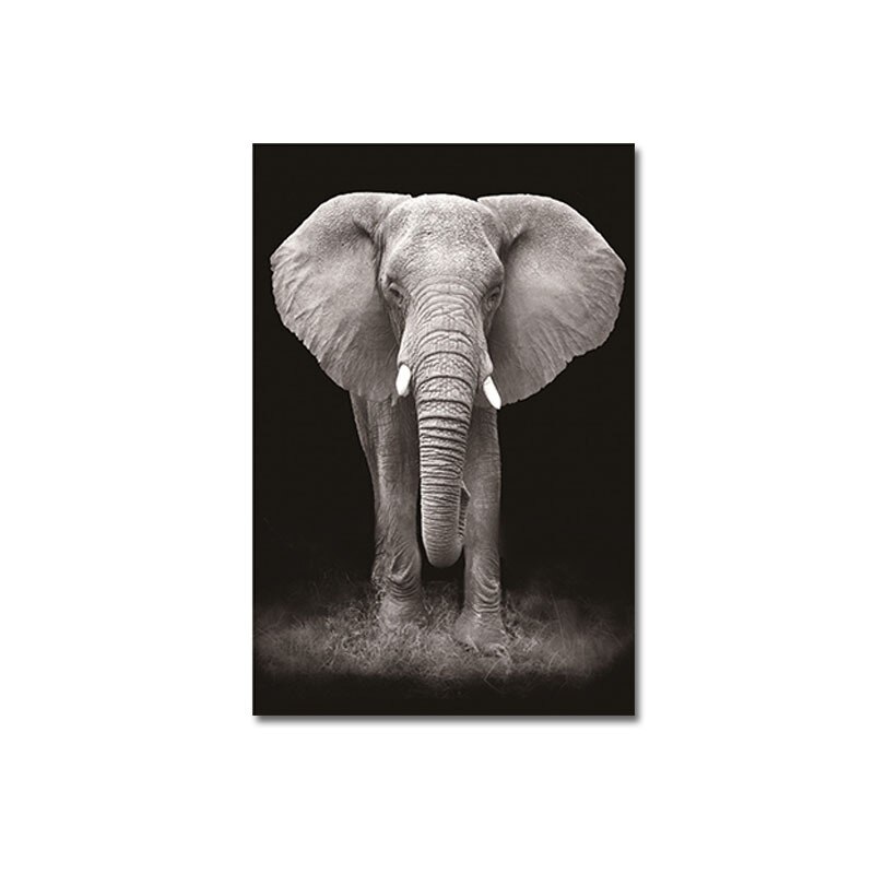 Black-and-White-Simple-Animal-Giraffe-Elephant-Rhinoceros-Canvas-Painting-Family-Decorational-Picture-Frameless-wall-art-2.jpg