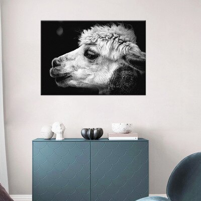 Black-and-white-alpaca-head-animal-canvas-painting-living-room-bedroom-study-decoration-painting-1.jpg