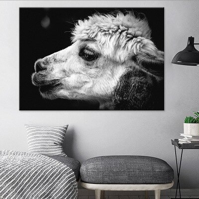 Black-and-white-alpaca-head-animal-canvas-painting-living-room-bedroom-study-decoration-painting-3.jpg