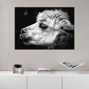 Black and white alpaca head animal canvas painting living room bedroom study decoration painting