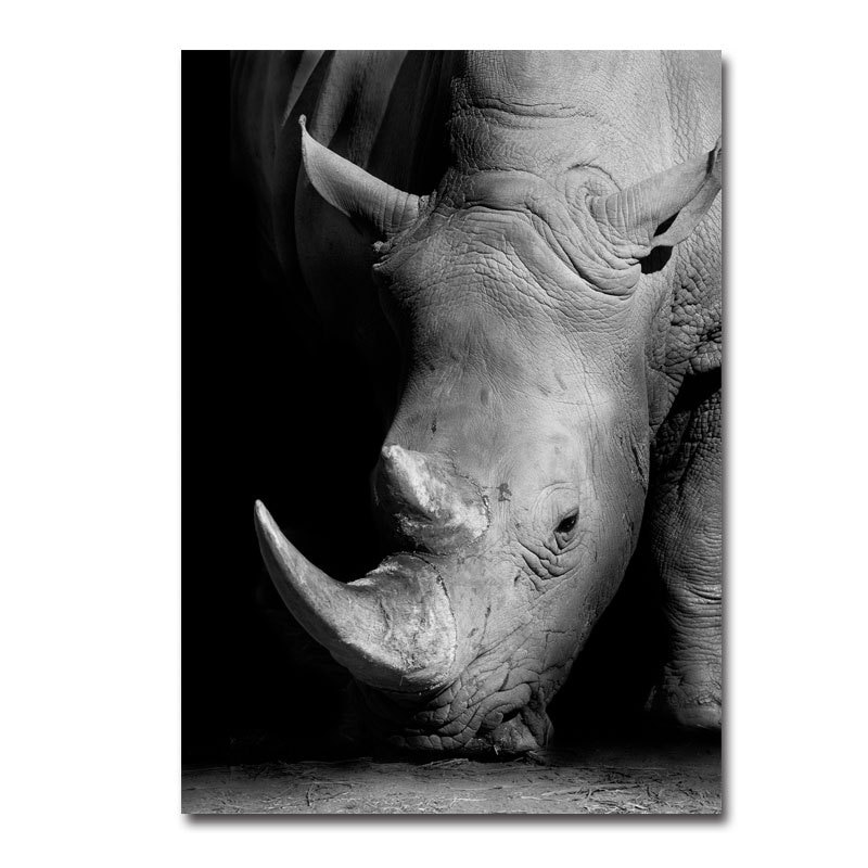 Black-white-animals-oil-painting-canvas-art-poster-and-photo-wall-pictures-of-living-room-decoration-4.jpg
