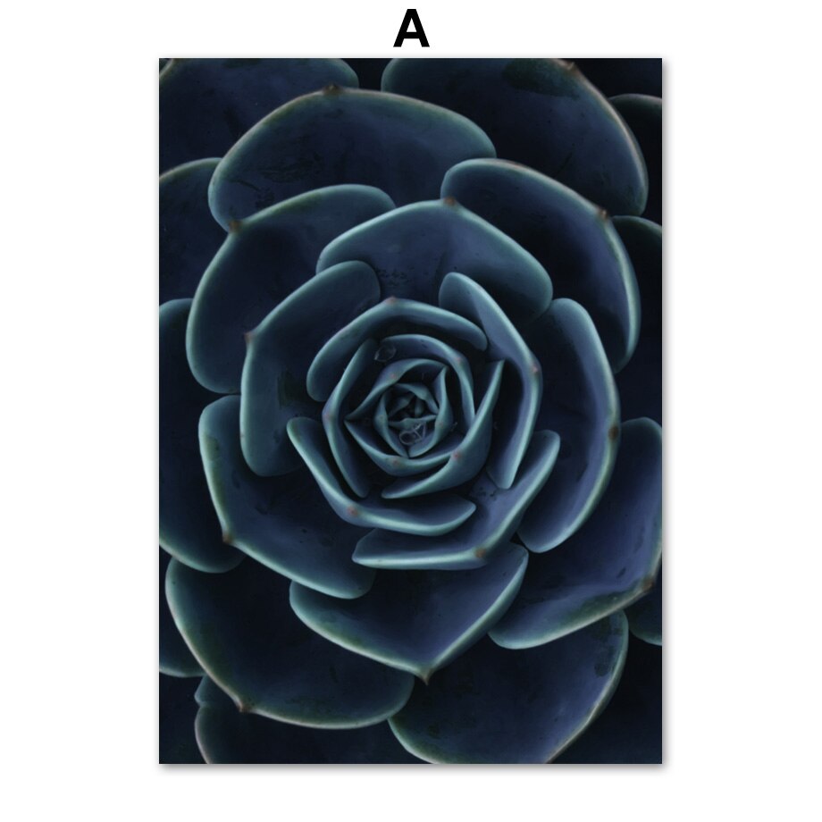 Blue-Dandelion-Succulents-Monstera-Leaves-Wall-Art-Canvas-Painting-Nordic-Posters-And-Prints-Wall-Pictures-For-3.jpg