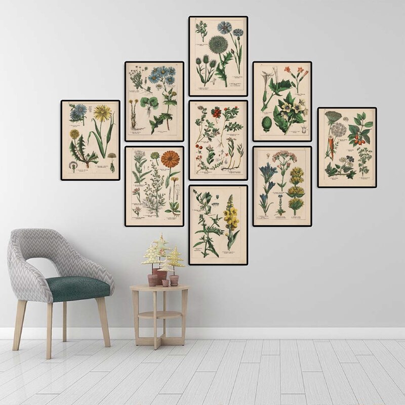 Botanical-Collection-Vintage-Posters-and-Prints-Herbs-1898s-Russian-Language-Wall-Art-Pictures-Canvas-Painting-Home-6.jpg