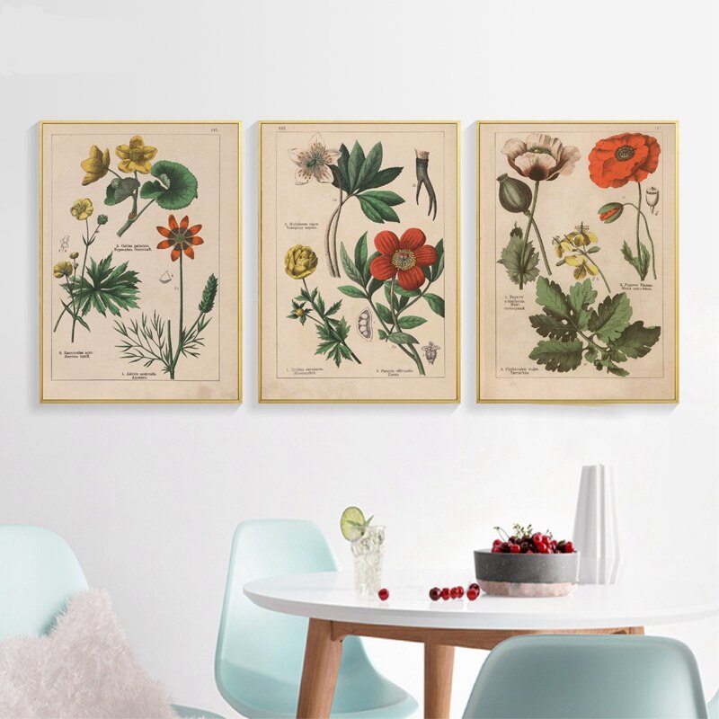 Botanical-Collection-Vintage-Posters-and-Prints-Herbs-1898s-Russian-Language-Wall-Art-Pictures-Canvas-Painting-Home-7.jpg