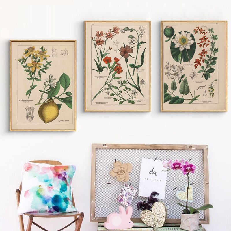 Botanical-Collection-Vintage-Posters-and-Prints-Herbs-1898s-Russian-Language-Wall-Art-Pictures-Canvas-Painting-Home-8.jpg
