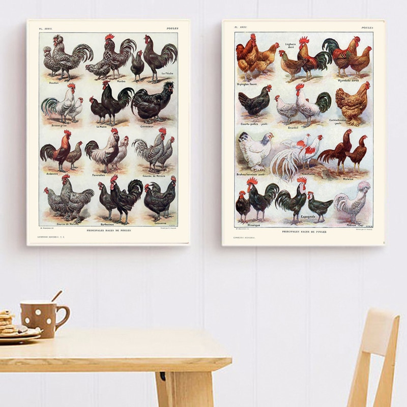 French-Hens-and-Roosters-Breeds-Print-Poultry-Chickens-Vintage-Poster-Kitchen-Wall-Art-Canvas-Painting-Pictures.jpg