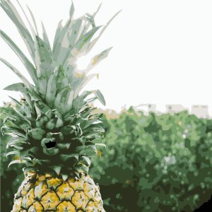 Fruits Pictures Oil Painting Kitchen Decor Canvas DIY Painting by Number Pineapple Wall Art For The Living Room Unframed