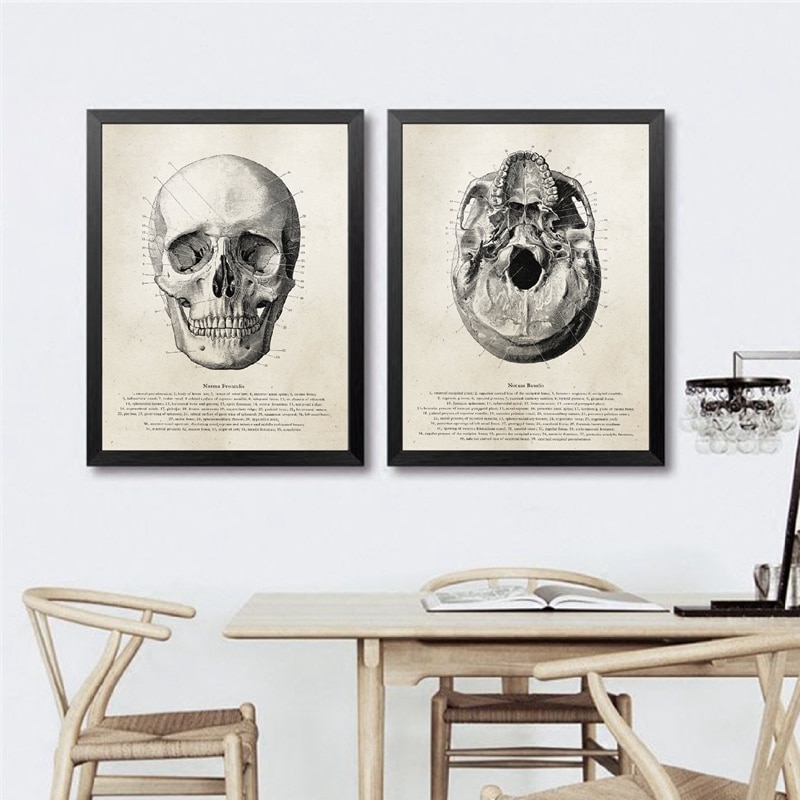 Human-Anatomy-Skull-Posters-and-Prints-Science-Illustration-Art-Canvas-Painting-Medical-Student-Gift-Doctor-Office-1.jpg