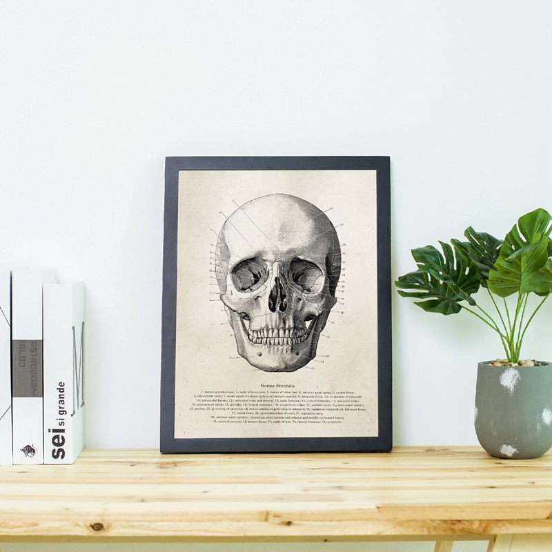 Human-Anatomy-Skull-Posters-and-Prints-Science-Illustration-Art-Canvas-Painting-Medical-Student-Gift-Doctor-Office-2.jpg
