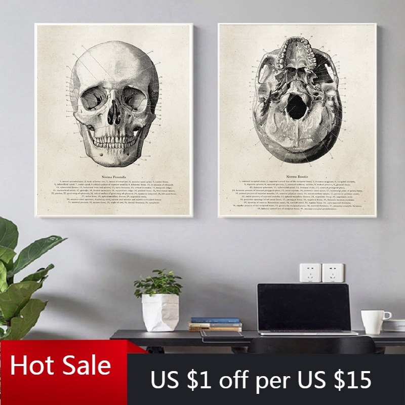 Human-Anatomy-Skull-Posters-and-Prints-Science-Illustration-Art-Canvas-Painting-Medical-Student-Gift-Doctor-Office.jpg