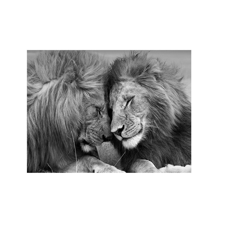 Lions-Head-to-Head-Black-and-White-Canvas-Art-Painting-Posters-and-Prints-Scandinavian-Cuadros-Wall-2.jpg